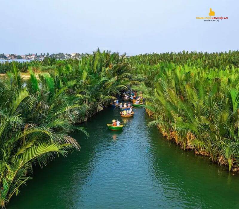 kinh nghiệm đi rừng dừa Bảy Mẫu