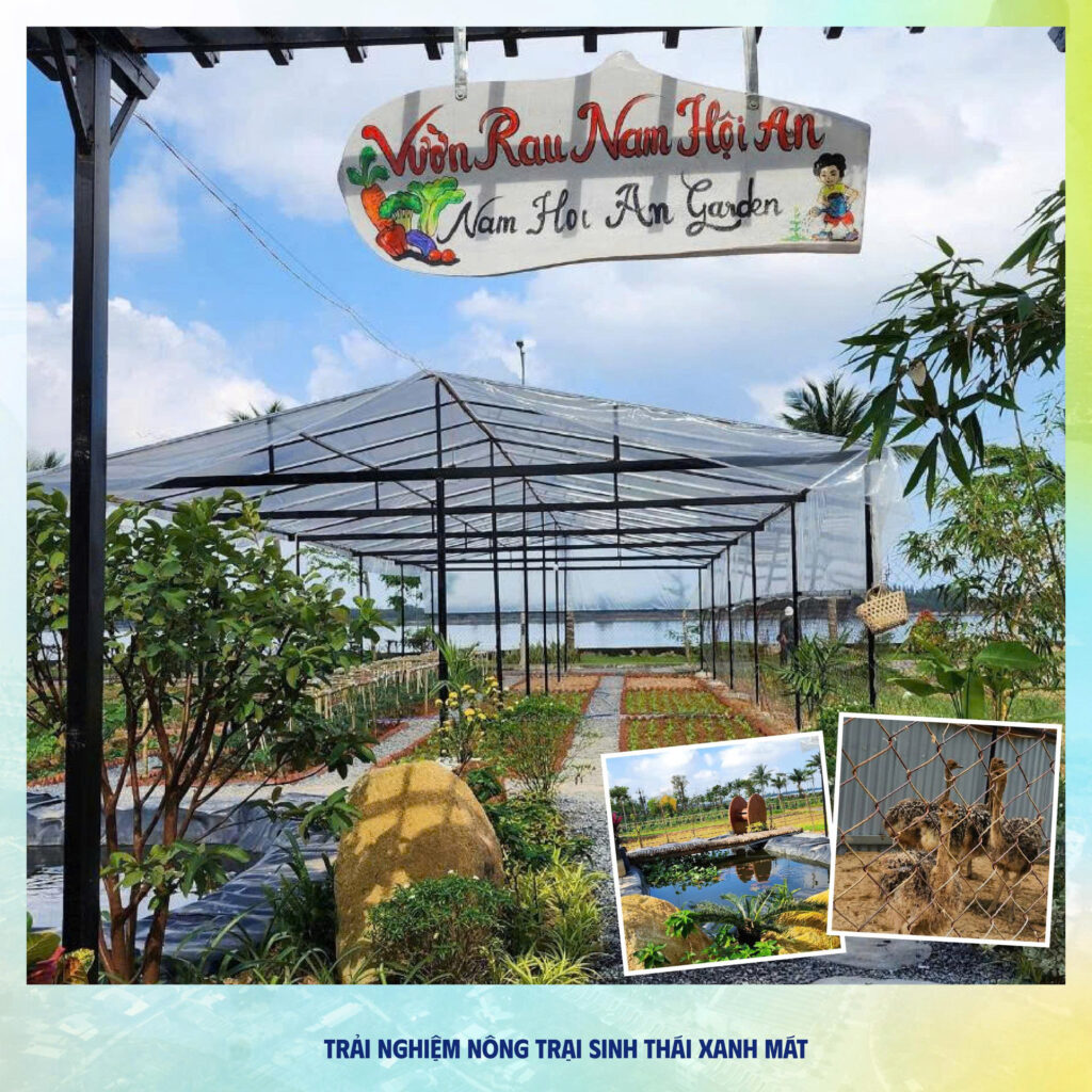 Vườn Rau Hữu Cơ